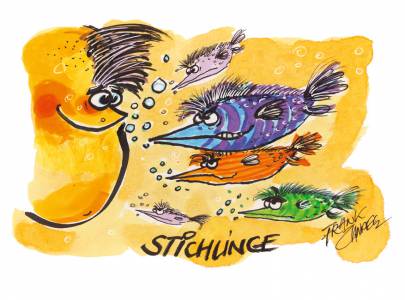 Stichlinge